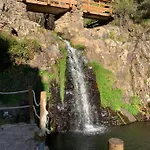 Larverde